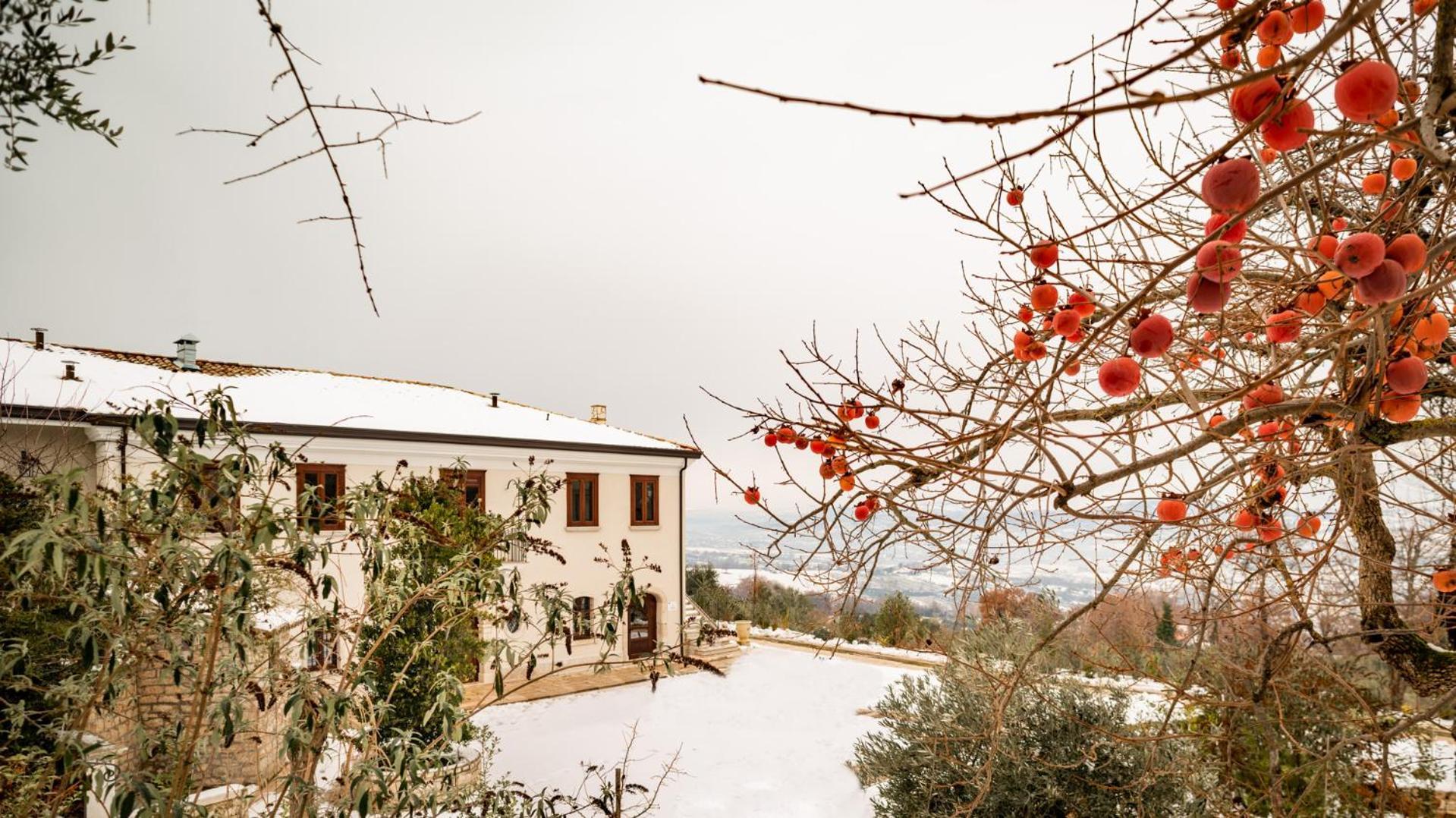 Il Mulino Della Signora Luxury Country House Frigento Dış mekan fotoğraf